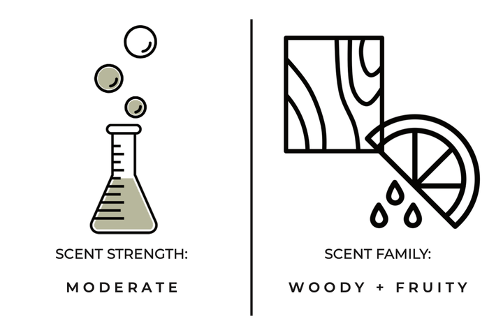 Stargazing Air Fragrance Card