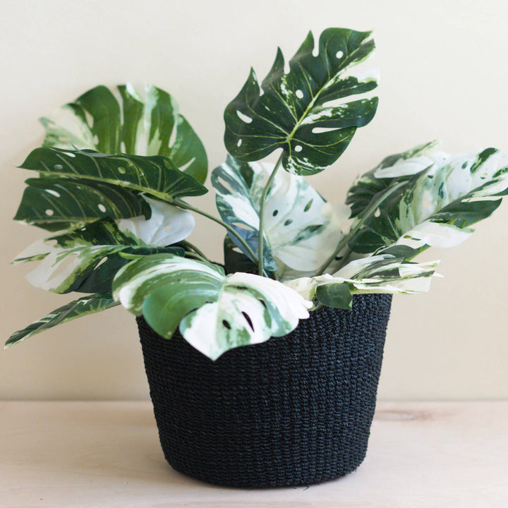 Black Scallop Basket