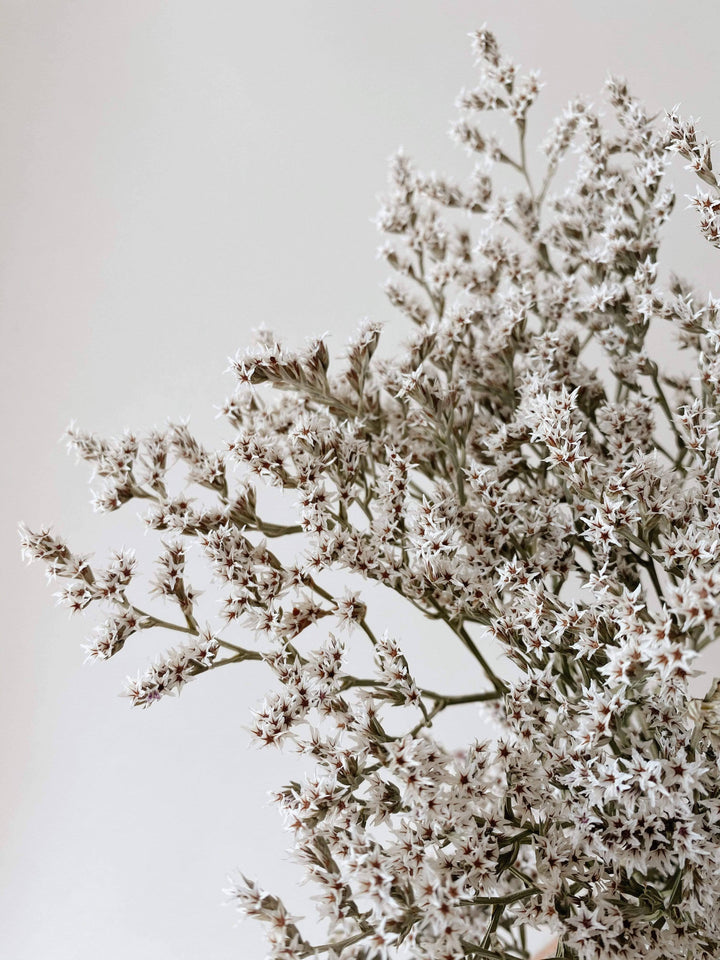 Dried German Statice Bouquet