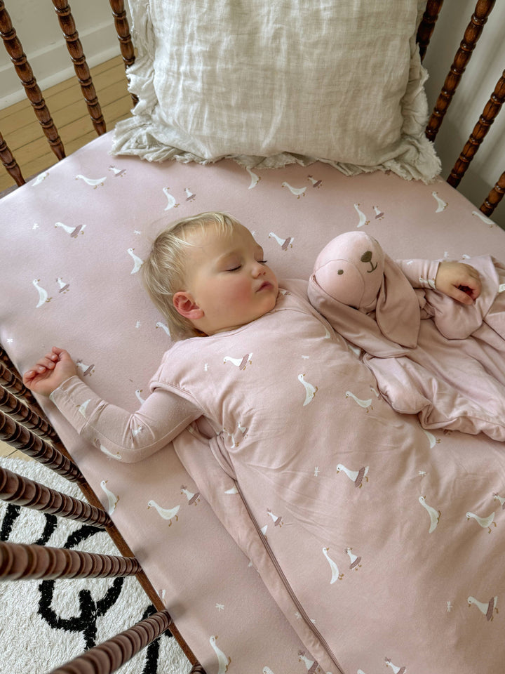 FW26 Lovey bunny