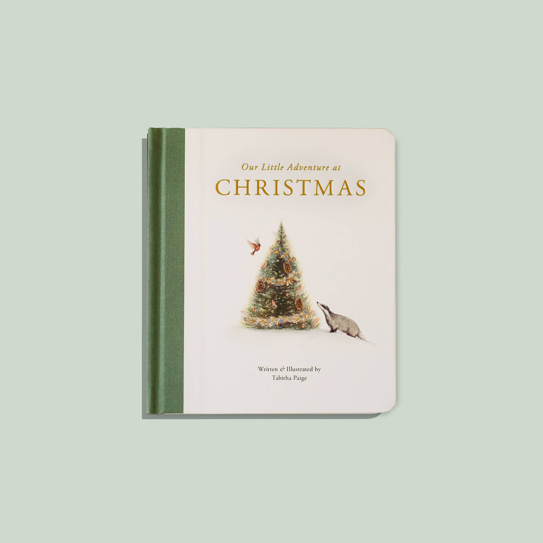 Our Little Adventure at Christmas (Baby's first Christmas)