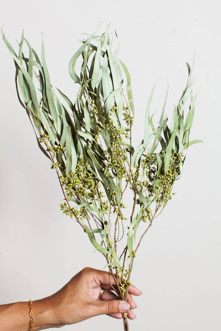 Dried Green Exotica Eucalyptus Bouquet