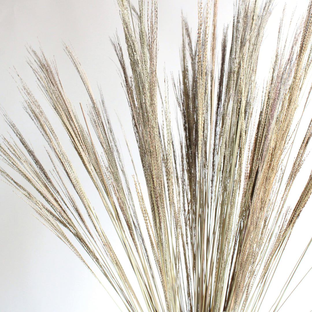 Natural Navajo Grass Bunch