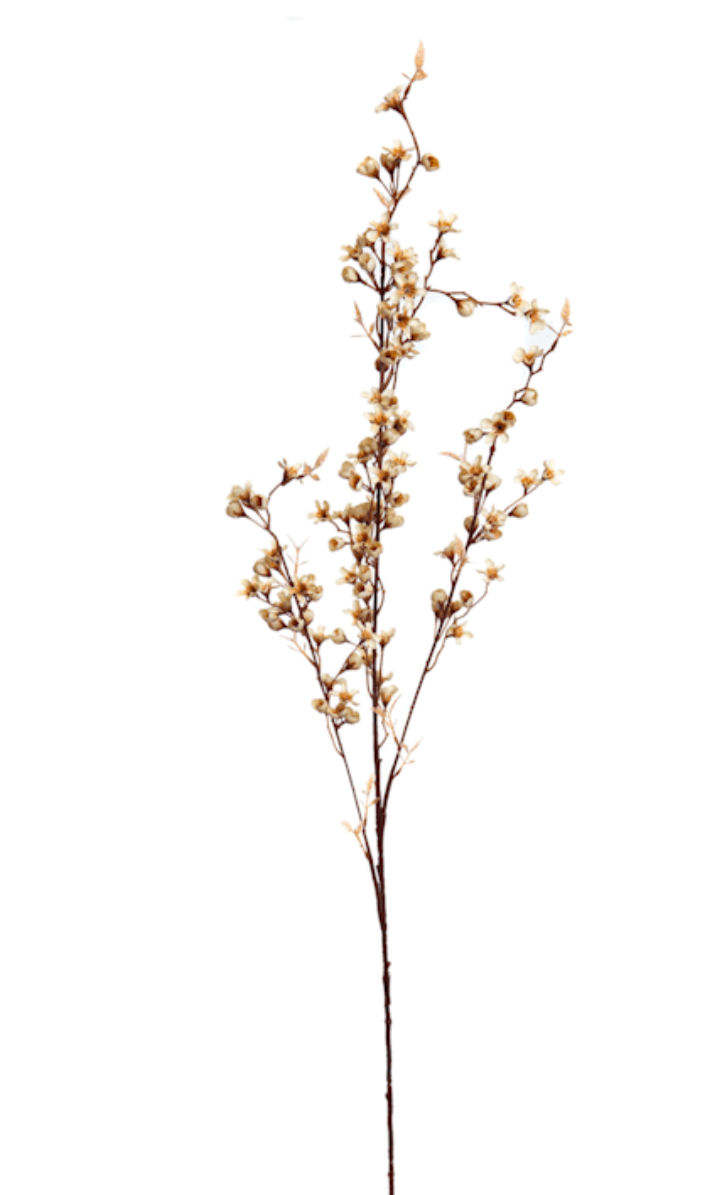 Dried Floral Stem $3