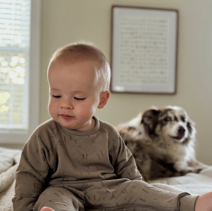 Bamboo Fleece Sweatsuit | Construction or National Park Print