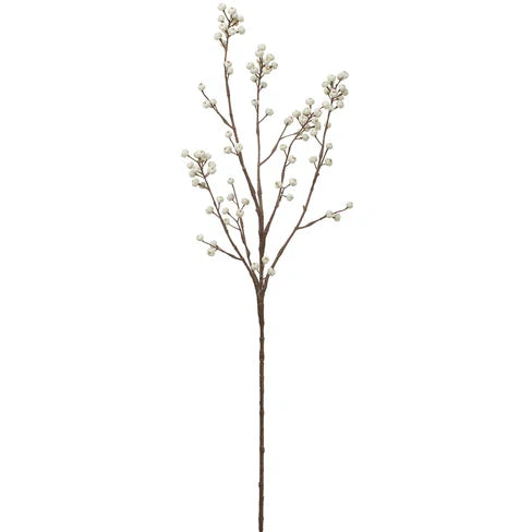 Cut Euonymus Berry Sprays | 2 Branches