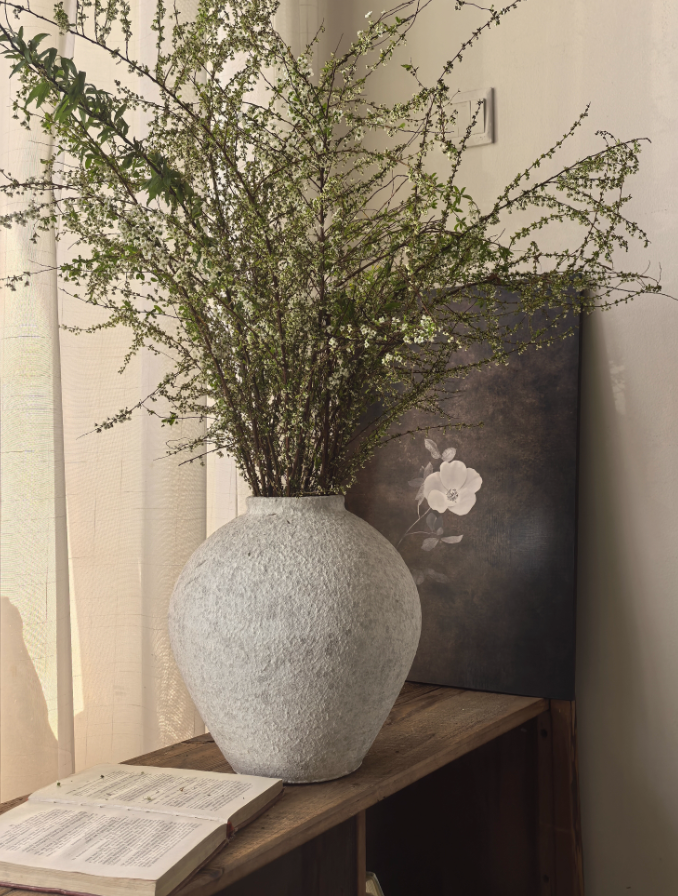 Terracotta Vases | Matte White