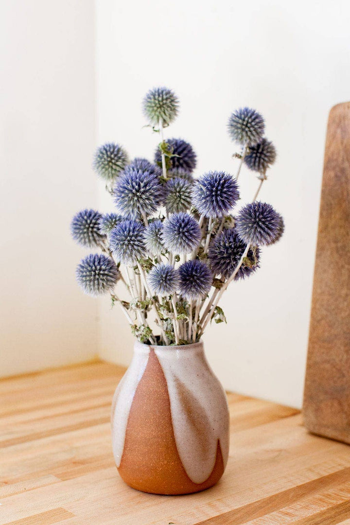 Dried Blue Globe Thistle/Stem