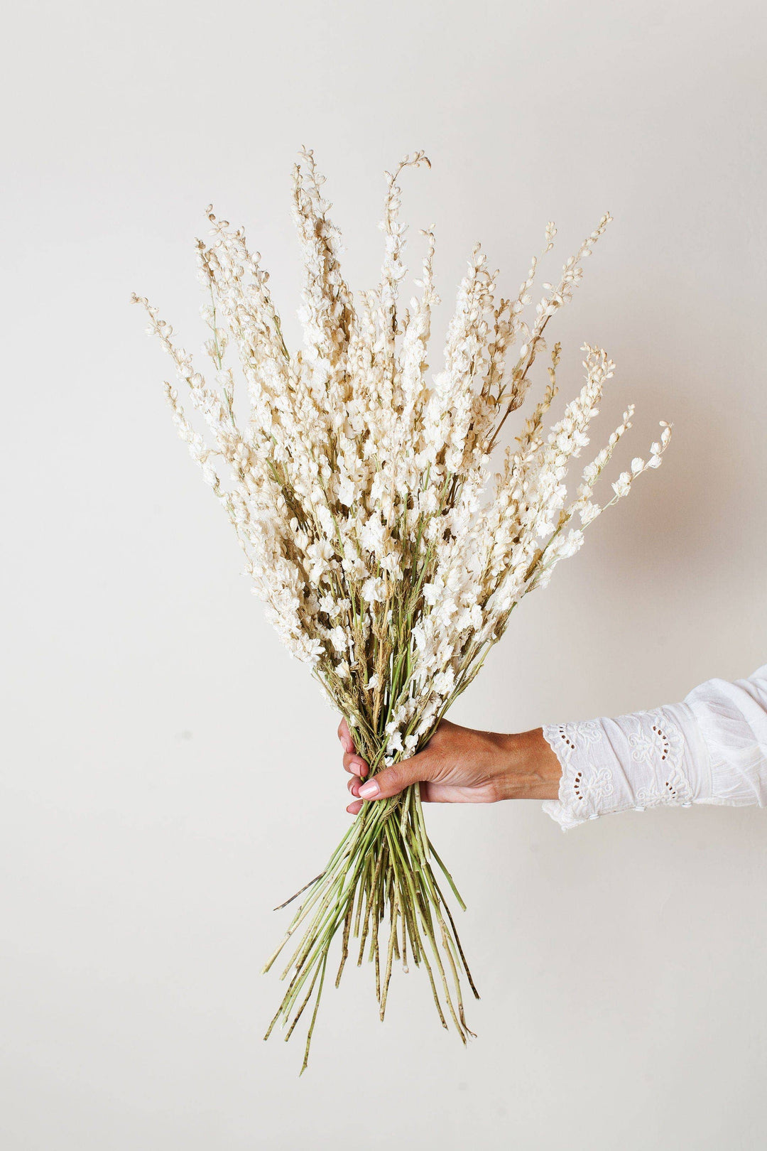 Dried Cream Larkspur Bouquet