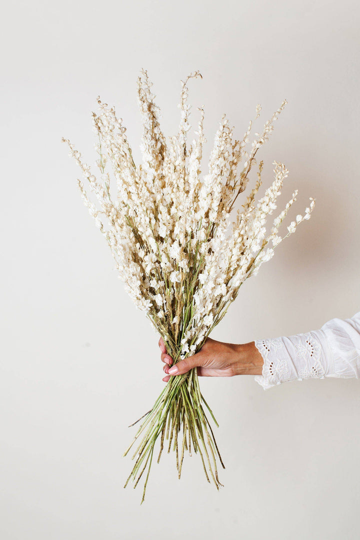 Dried Cream Larkspur Bouquet
