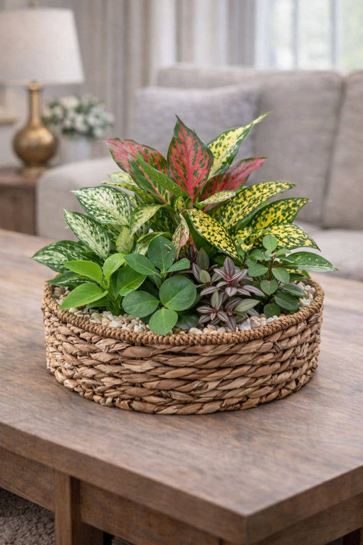 Natural Woven Baskets
