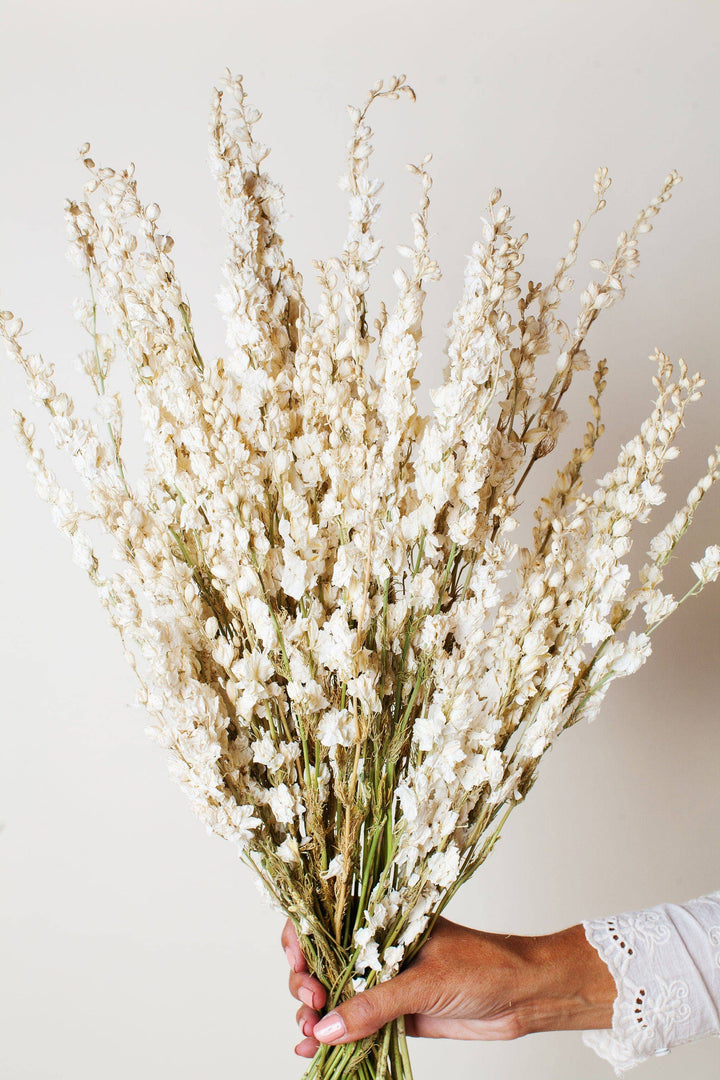 Dried Cream Larkspur Bouquet