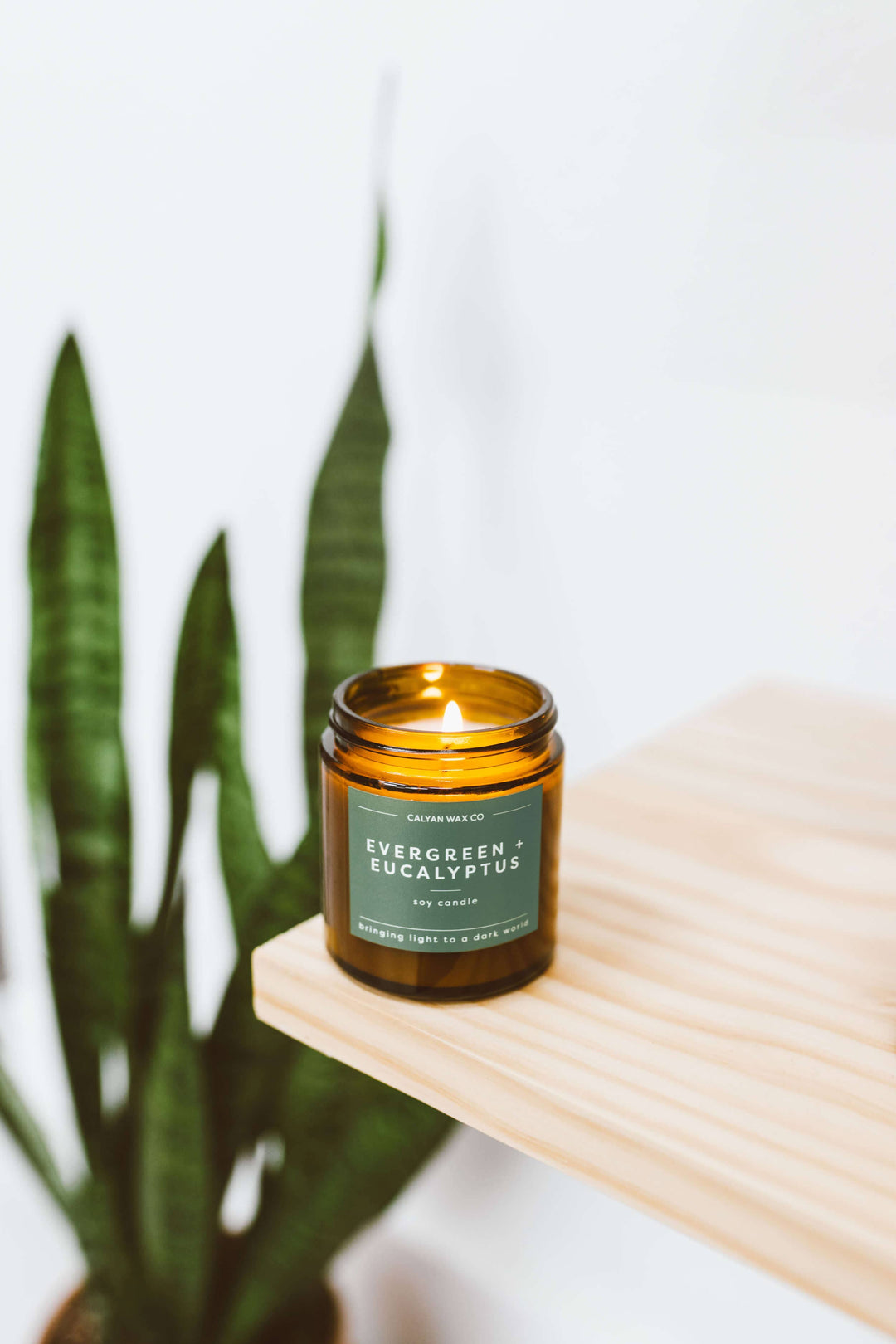 Evergreen + Eucalyptus Mini Soy Candle