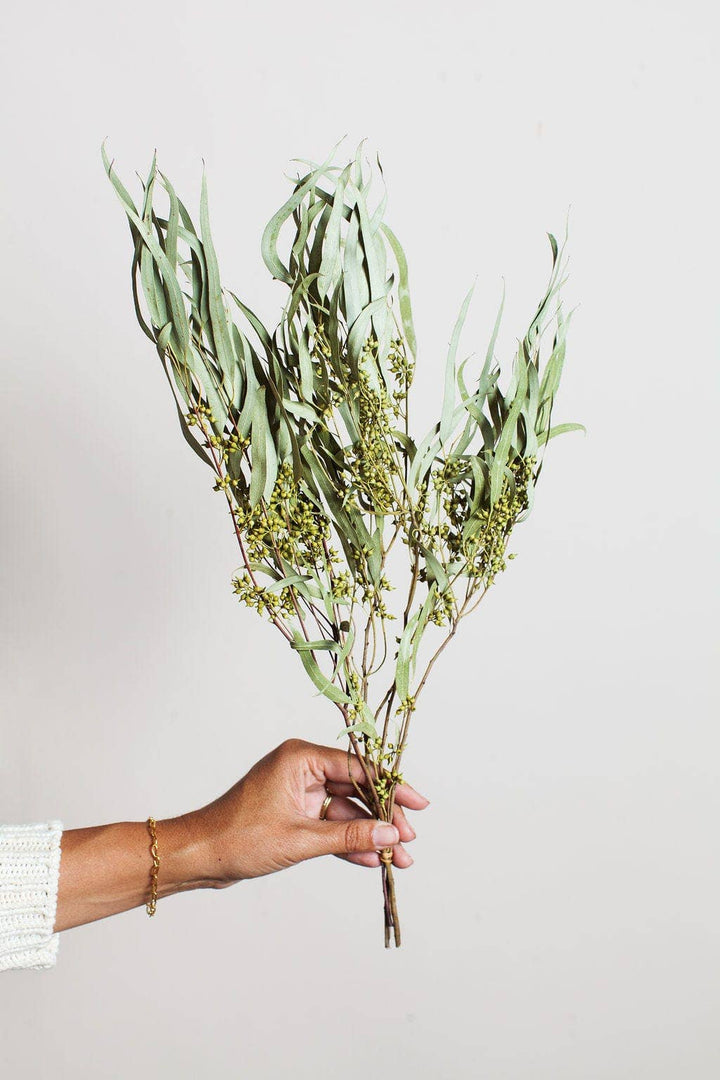 Dried Green Exotica Eucalyptus Bouquet