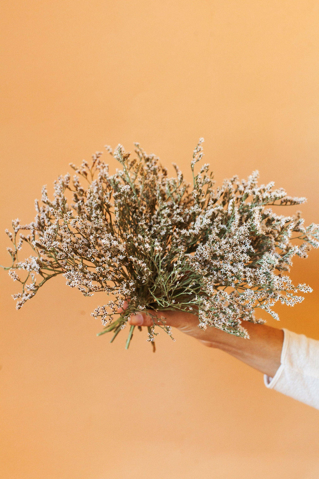 Dried German Statice Bouquet