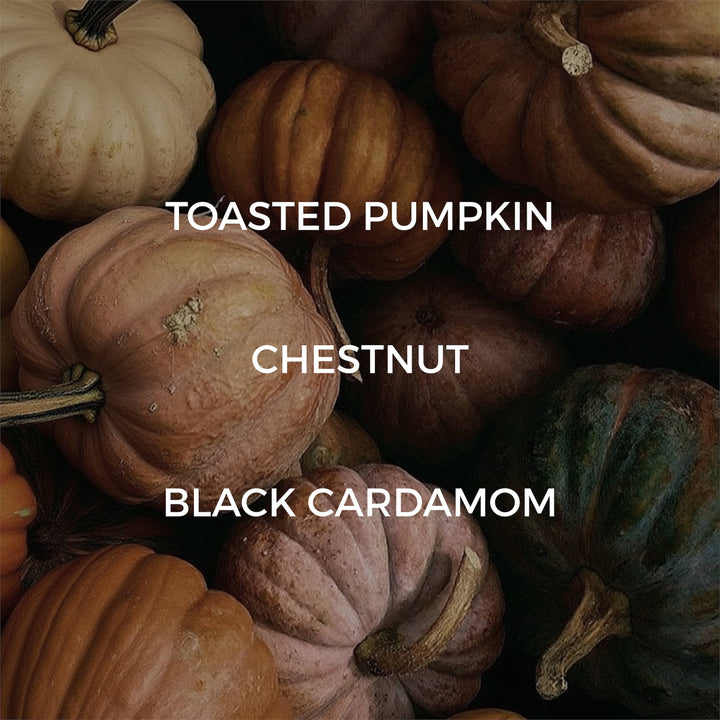 Velvet Pumpkin Soy Candle