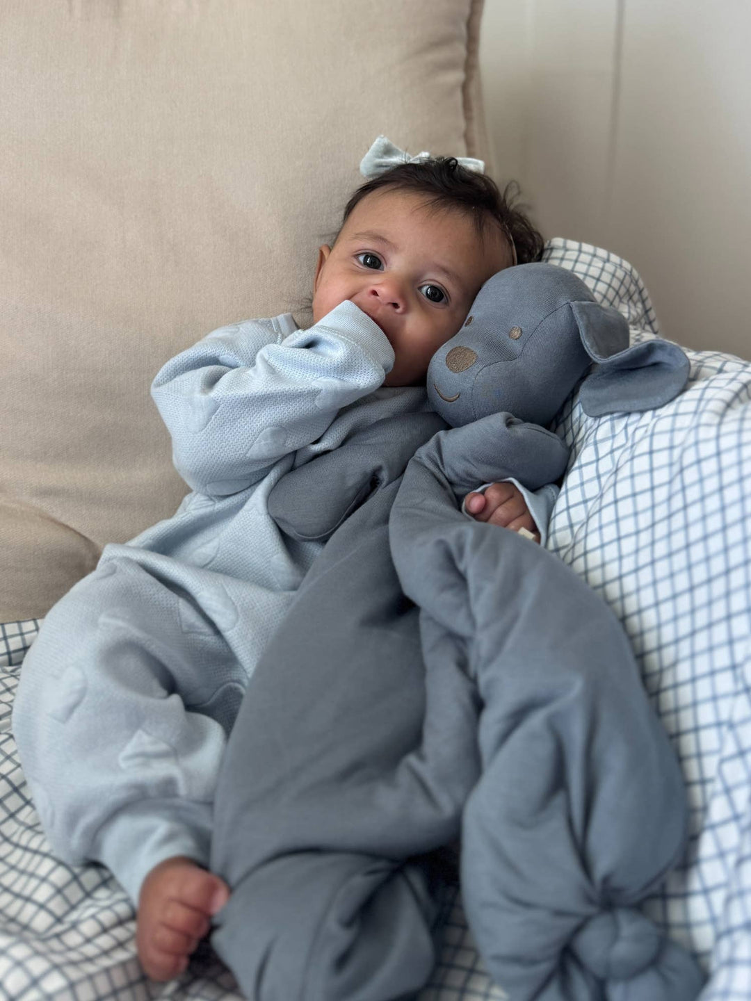 Lovey Pup | Light Brown or Blue